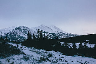 mountain covered with snow, Greg Shield, photography, landscape, nature