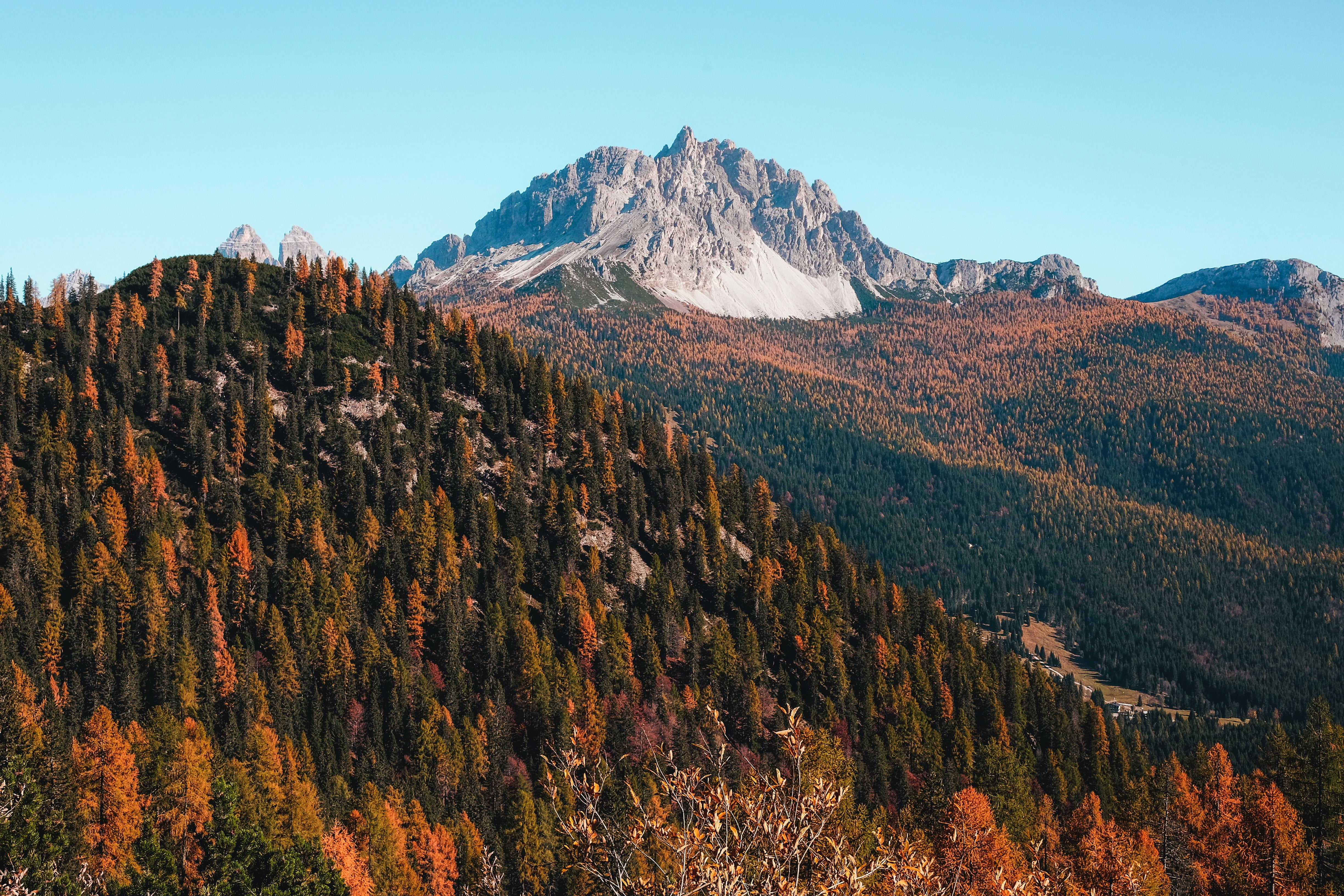 Trees covered mountain, Mountains, Trees, Autumn HD wallpaper