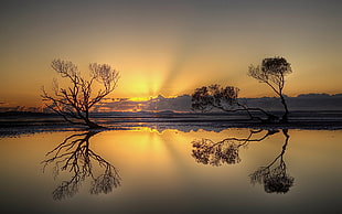 silhouette body of water during golden hour HD wallpaper