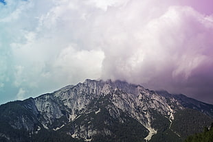 alps mountain, nature, trees, mountains HD wallpaper
