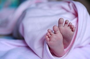 selective focus photo of infant's feet wrapped with pink blanket