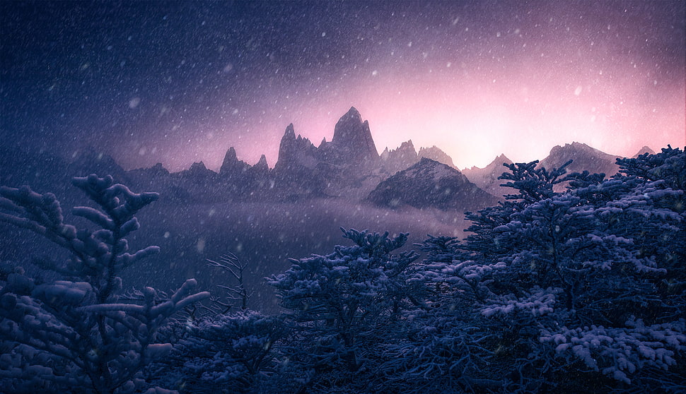 snow coated treess painting HD wallpaper