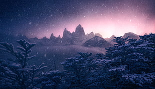 snow coated treess painting HD wallpaper