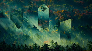green trees digital wallpaper, mountains, forest