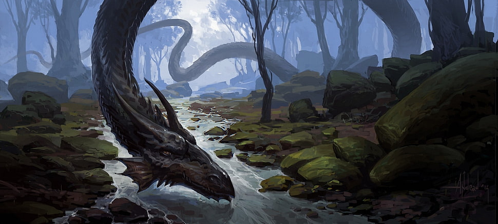 black dragon illustration, fantasy art, dragon HD wallpaper