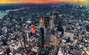 assorted skyscrapers, city, New York City
