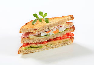 vegetable sandwich