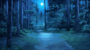 forest during nighttime artwork