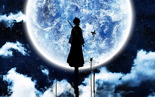 Bleach Rukia illustration, Kuchiki Rukia, Bleach, Moon, silhouette