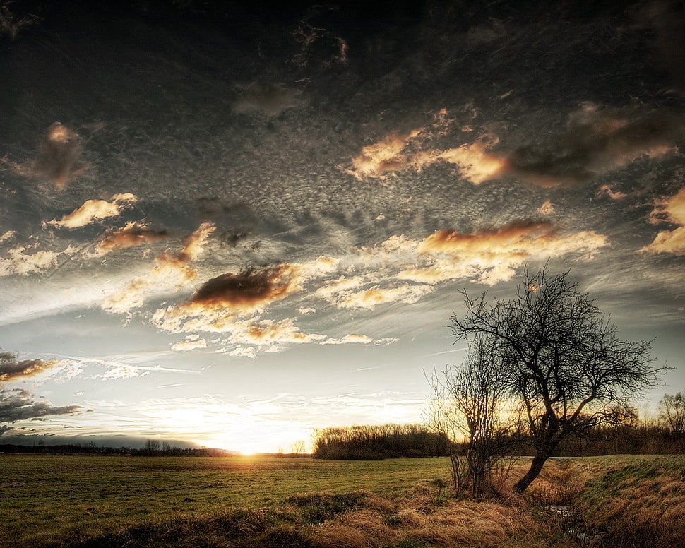 gray and brown cloudy sky photo HD wallpaper
