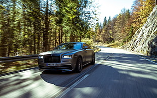time lapse photography of black coupe on concrete road under pine tree background during daytime