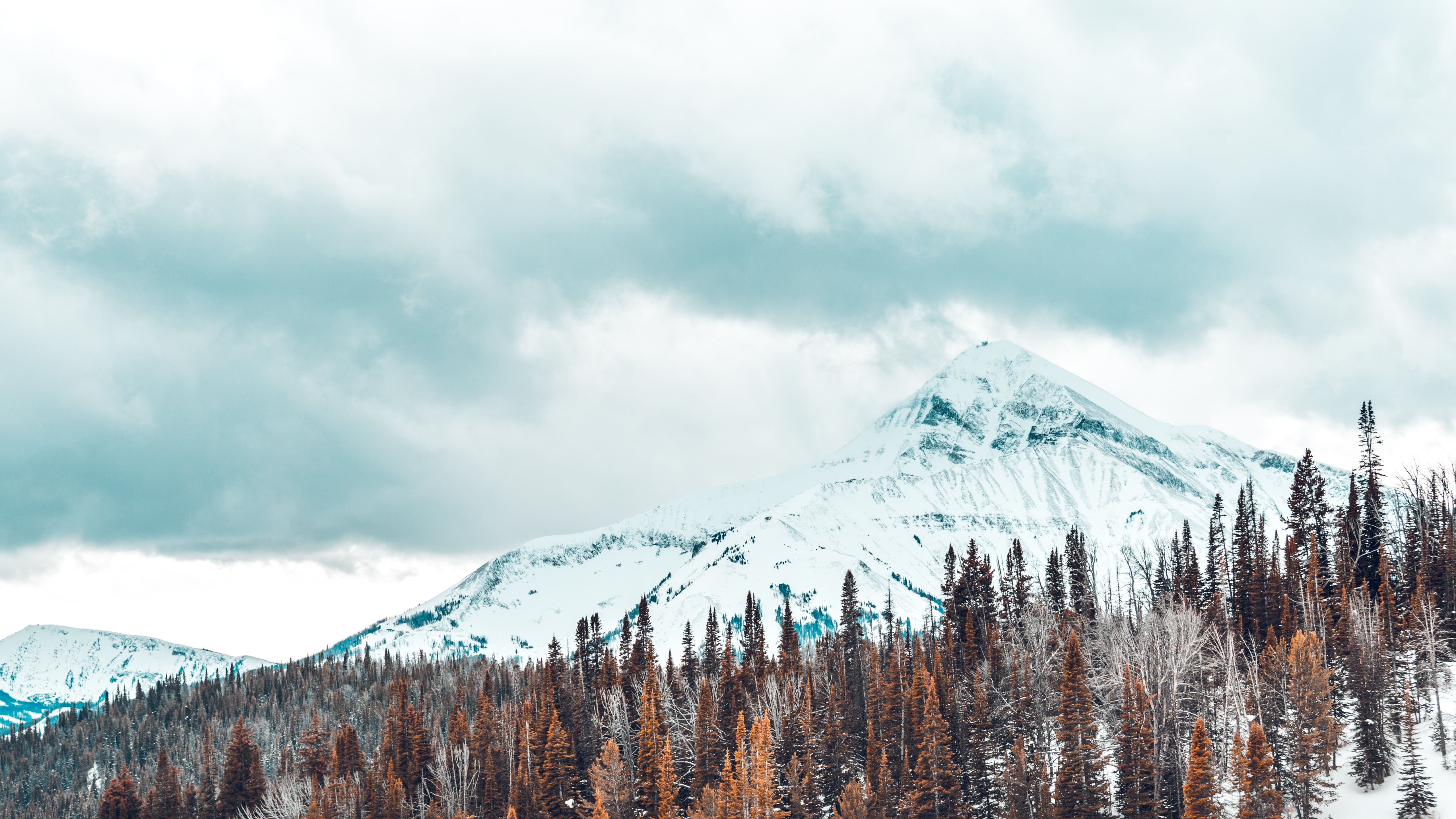 white snow covered mountain