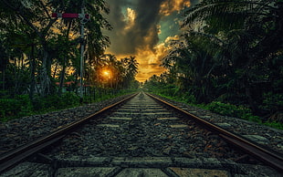 brown railroad, nature, landscape, railway, sunset HD wallpaper