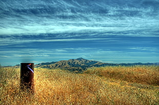 brown grass field landscape photo, mount diablo