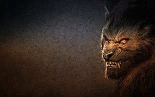 werewolf digital wallpaper, fantasy art