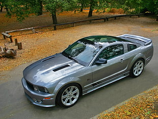 gray Ford Mustang coupe, car, silver cars, vehicle