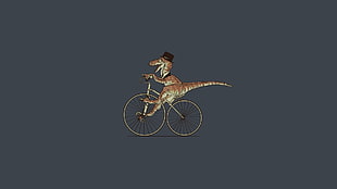 Crocodile,  Ride,  Bike
