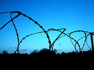 barbwires, barbed wire, silhouette, sky HD wallpaper