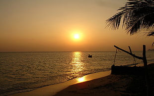 palm tree silhouette, Thailand, sunset, beach, landscape