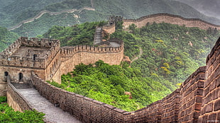 Great Wall of China, nature, Great Wall of China HD wallpaper