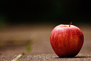focus photography of red apple