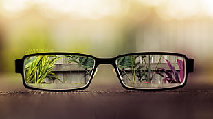 black framed eyeglasses, bokeh HD wallpaper