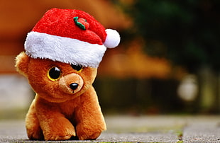 shallow focus photo of brown bear plush toy with Santa hat