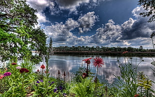 lake near tree and flowers, river, nature, flowers, digital art