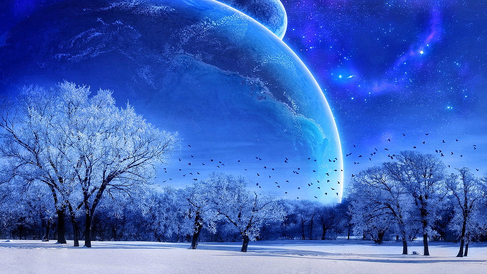 moon and trees digital artwork, planet, digital art, winter, space art HD wallpaper