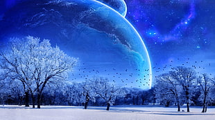 moon and trees digital artwork, planet, digital art, winter, space art