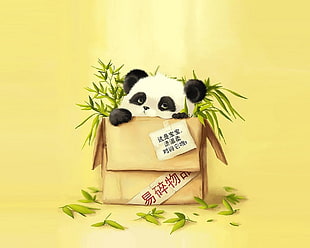 Panda inside the box with bamboo