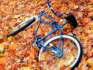 blue cruiser bike on dry leaves