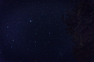 Starry sky,  Stars,  Space