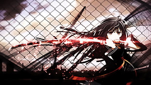 game digital wallpaper, Kisara Tendo , Black Bullet, sword