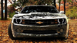black Chevrolet Camaro, car, Camaro, Chevrolet HD wallpaper
