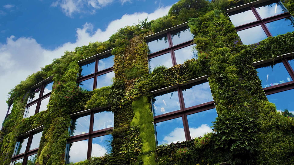 brown wooden frame 4-pane window, window, building, reflection HD wallpaper