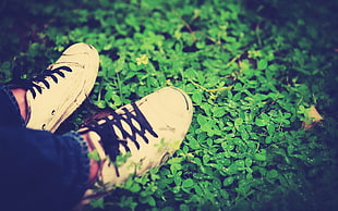 person wearing white sneakers steps on green grass HD wallpaper