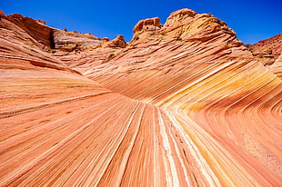 Arizona park, landscape, desert, rock HD wallpaper