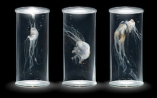 animated human cycle in clear tube illustration, evolution, artwork, digital art, black background
