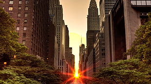 brown high-rise concrete buildings, Manhattan, New York City, sunset, Manhattanhenge HD wallpaper