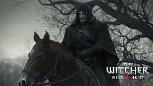 The Witcher 3 Wild Hunt digital wallpaper, The Witcher, The Witcher 3: Wild Hunt, Geralt of Rivia
