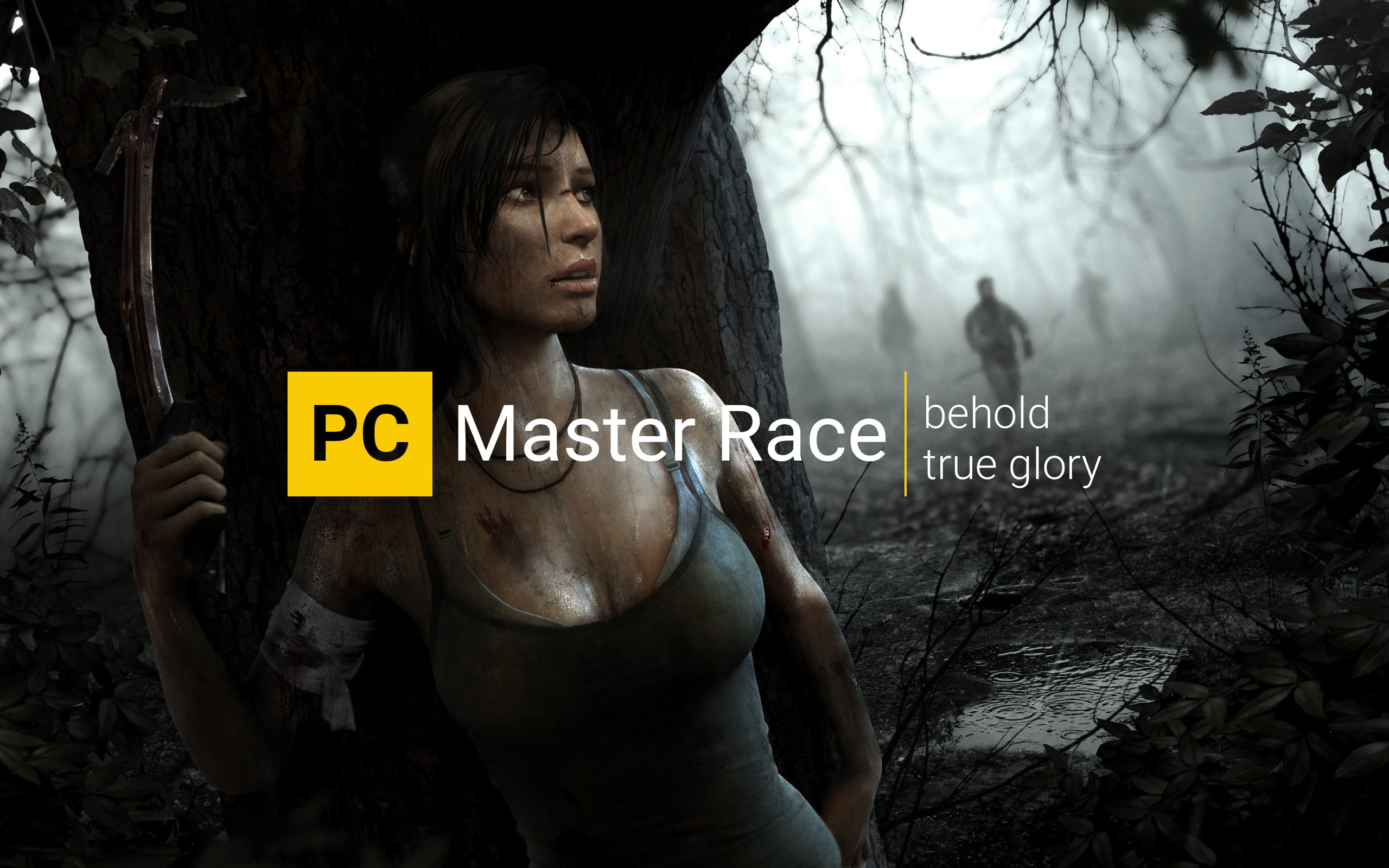 Lara Croft, Tomb Raider, PC Master  Race, PC gaming