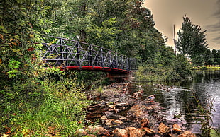 red and black concrete bridge, nature, landscape, HDR