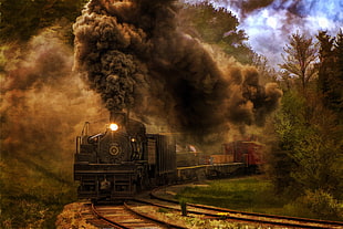 brown train, train, trees, steam locomotive