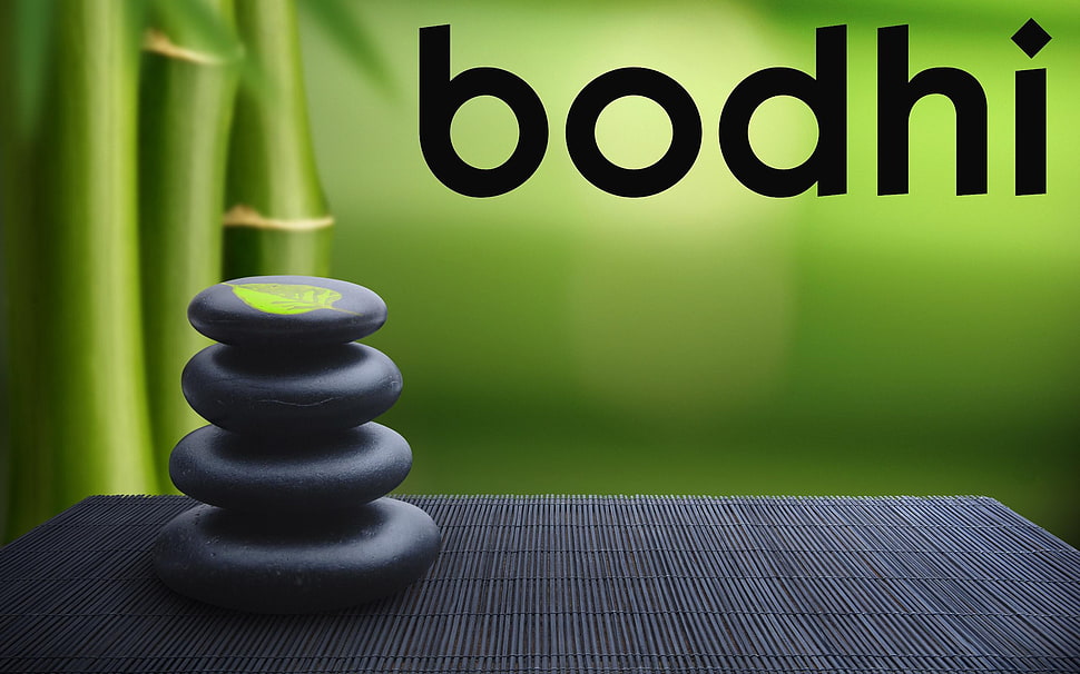 black Bodhi advertisement, Linux, GNU, Bodhi Linux HD wallpaper