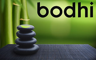 black Bodhi advertisement, Linux, GNU, Bodhi Linux