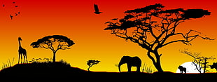 silhouette of elephant and tree graphic wallpaper, Africa, animals