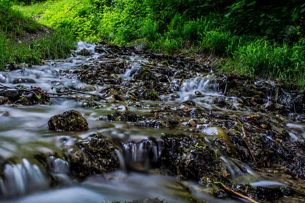 river in forest HD wallpaper