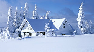house covered with snow during daytime
