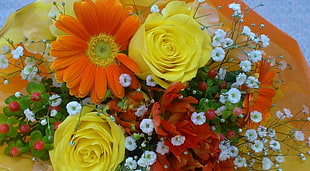 yellow Rose, orange Gerbera flowers HD wallpaper